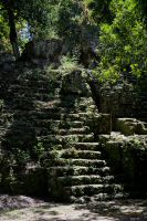 Image36.jpg