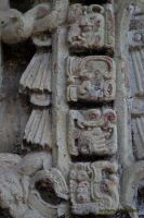 Image37.jpg