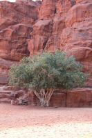 _MG_4090-1.jpg