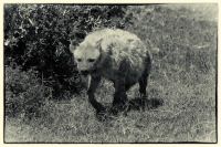 Image01.jpg
