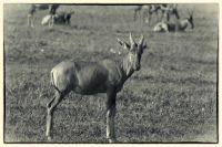 Image02.jpg