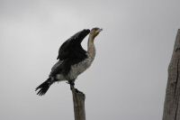 Image04.jpg