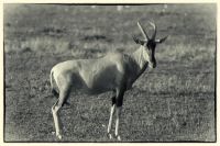 Image04.jpg