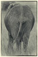 Image05.jpg