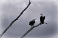 Image08.jpg