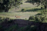 Image08.jpg