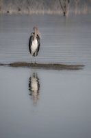 Image09.jpg