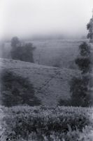 Image09.jpg