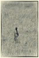Image10.jpg