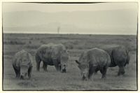 Image30.jpg