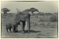 Image49.jpg
