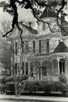 Image06.jpg
