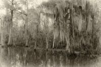 Image12.jpg