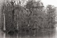 Image18.jpg