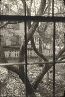 Image21.jpg