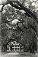 Image39.jpg