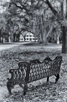 Image40.jpg