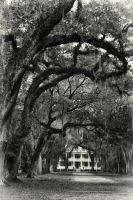 Image41.jpg