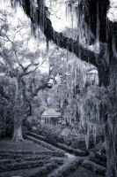 Image44.jpg