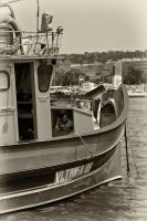 Image115.jpg