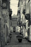Image17.jpg