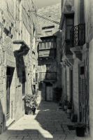 Image19.jpg