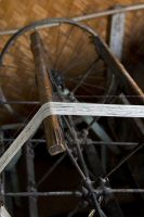_MG_3279-1.jpg