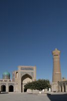 _MG_5129-1.jpg