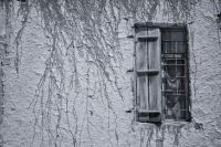 _MG_5287-2.jpg