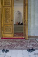 _MG_5645-1.jpg