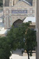_MG_5965-1.jpg