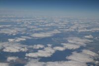 _MG_6893-1.jpg