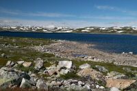 _MG_3175-1.jpg