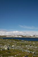 _MG_3179-1.jpg