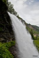 _MG_3374-1.jpg
