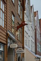 _MG_3412-1.jpg