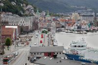 _MG_3501-1.jpg