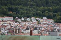 _MG_3504-1.jpg