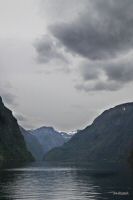 _MG_3690-1.jpg