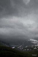 _MG_3817-1.jpg