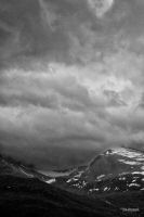 _MG_3817-2.jpg