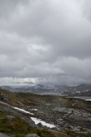 _MG_3841-1.jpg