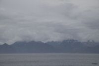_MG_4139-1.jpg