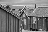 _MG_4231-2.jpg