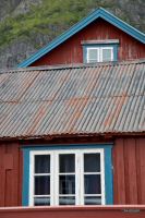 _MG_4233-1.jpg