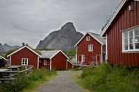 _MG_4284-1.jpg