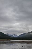_MG_4486-1.jpg