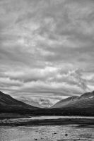 _MG_4486-2.jpg