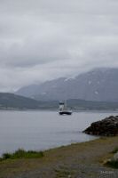 _MG_4540-1.jpg