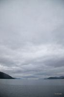 _MG_4547-1.jpg